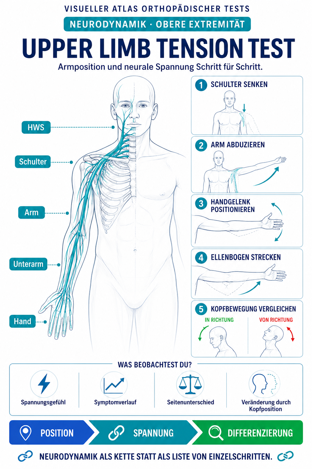 UPPER LIMB TENSION TEST – Neurodynamik / obere Extremität